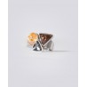 Anillo Voichi